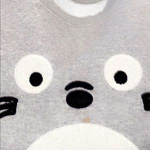 Totoro sweatshirt